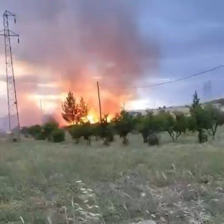 Elektrik direğinden çıktığı iddia edilen yangın buğday tarlasını küle çevirdi
