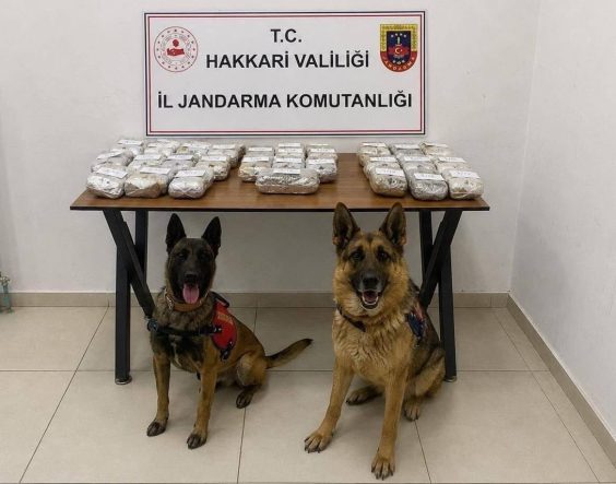 Hakkari’de 21 kilo 650 gram toz esrar ele geçirildi