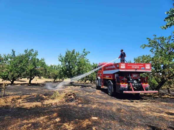 Malatya’da bahçe ve orman yangını