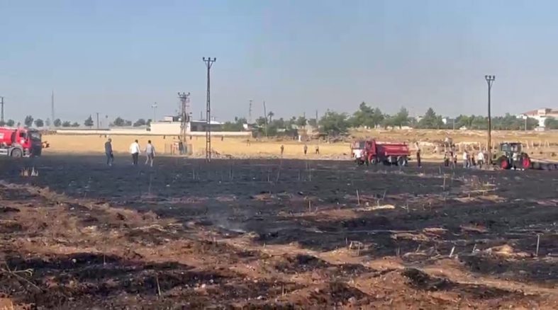 Şanlıurfa’da çıkan yangında 60 dönüm buğday ekili alan zarar gördü