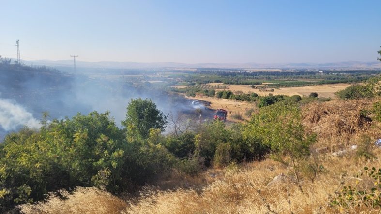 Balıkesir'de Arazi ve Orman Yangını! Alevler Sokak Hayvanları Barınağı Yakınına Kadar Ulaştı