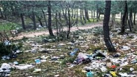 Balıkesir'de Herkes Doğayı Seviyor, Peki Neden Koruyamıyor