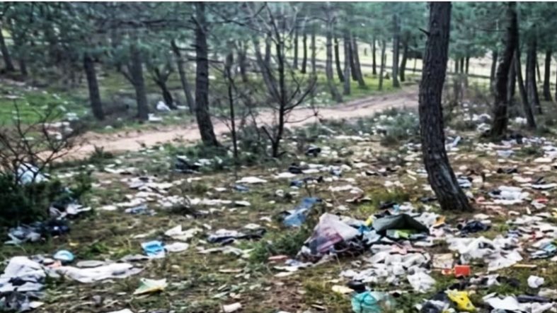 Balıkesir'de Herkes Doğayı Seviyor, Peki Neden Koruyamıyor