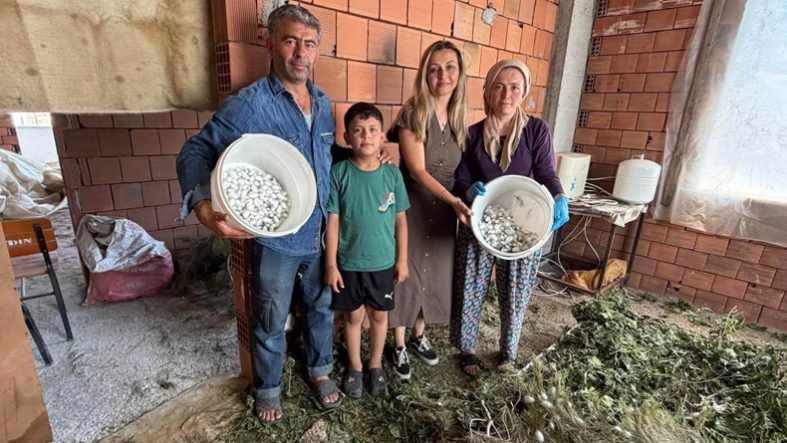 Balıkesir'de İpek Böcekçiliği Yeniden Canlanıyor!