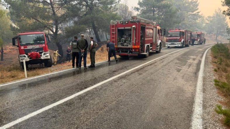 Balıkesir'de tek yangın cephesi Gömeç (2)
