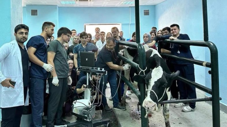 Balıkesir'deki Hayvan Hastanesine Rekor Başvuru! 6 Ayda 1.850 Vaka
