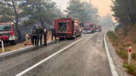 Balıkesir'deki yangın sebebiyle Ayvalık Bergama yolu trafiğe kapatıldı (1)