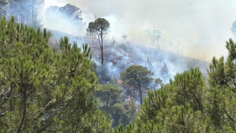 Balıkesir'deki yangın tekrar yayılıyor