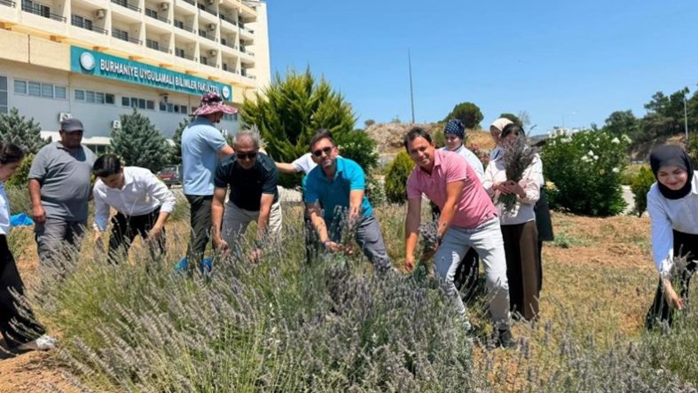 Burhaniye’de Lavanta Kokulu Okul da hasat heyecanı