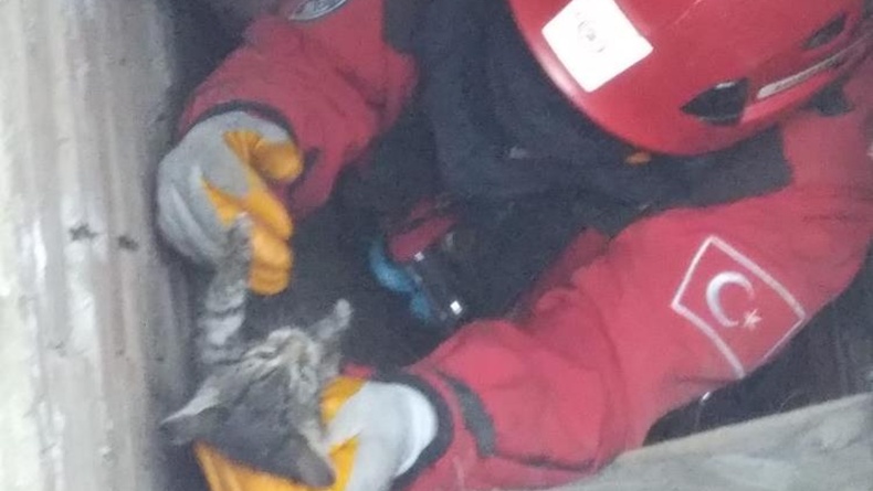 Burhaniye’de boruda sıkışan kedileri itfaiye kurtardı