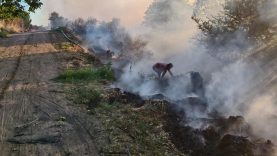 Burhaniye'de ot yangınını itfaiye söndürdü