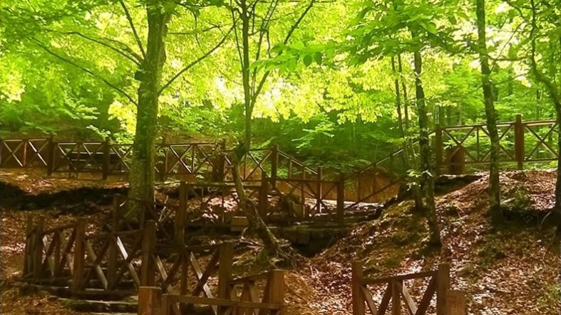 Doğa Yürüyüşü Sevenler İçin Balıkesir'de En Güzel Parkurlar