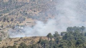 Dursunbey'de orman yangını