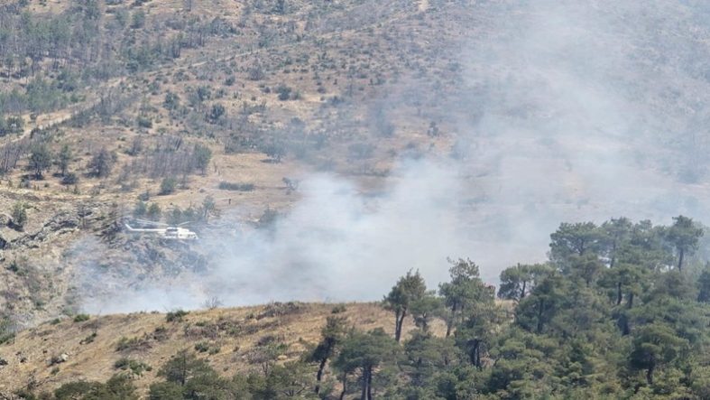 Dursunbey'de orman yangını