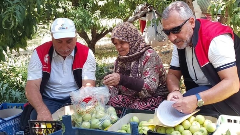 Edremit'te Şeftali Üreticilerine Kritik Uyarı!