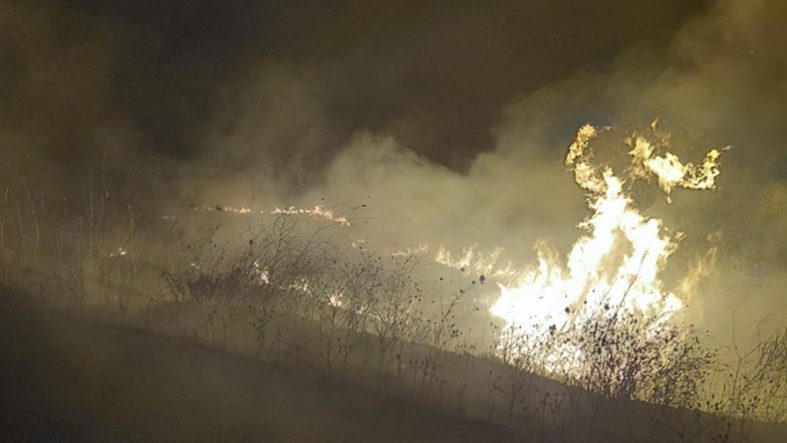 Gönen'de Gece Yarısı Arazi Yangını! 4 Dönümlük Alan Alevlere Teslim Oldu