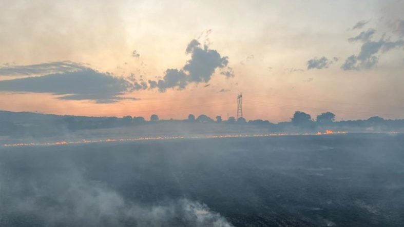 Gönen'de peş peşe çıkan 5 yangınla ilgili 2 şüpheli tutuklandı