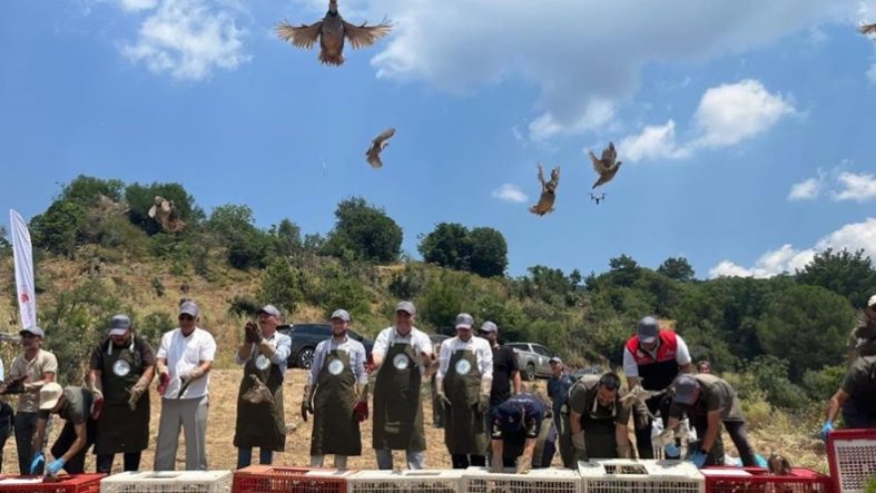 Havran’da keklikler doğal yaşam alanlarına bırakıldı