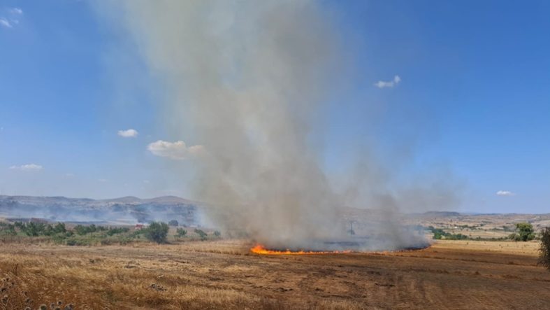 Karesi'de Arazi Yangını! Kuvvetli Rüzgâr Alevleri Büyüttü (2)