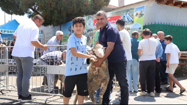 Kepsut'ta Üreticiye Büyük Destek! 40 Damızlık Koç Ücretsiz Teslim Edildi (2)