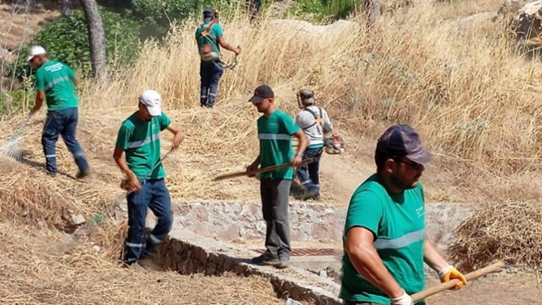 Yangınlara karşı Ayvalık'ta kuru ot temizliği aralıksız sürüyor
