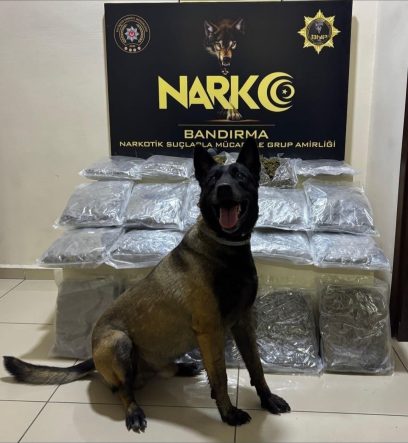 Bandırma’da gübre torbalarının altına gizlenen 11,2 kilo skunk ele geçirildi