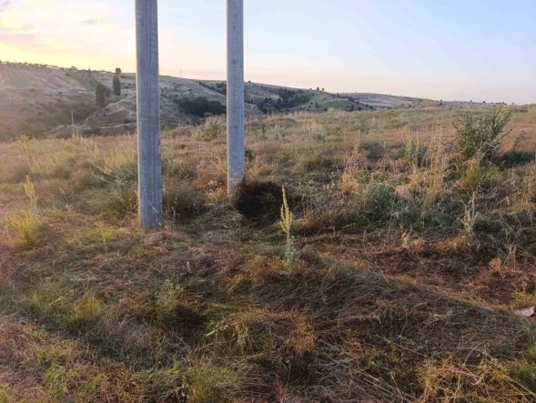 Bilecik’te elektrik akımına kapılan kuş yangına sebep oldu