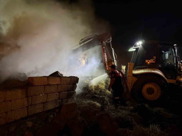 Iğdır’da 2 bin balya alevlere teslim oldu