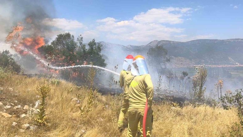 Menteşe’de makilik yangını