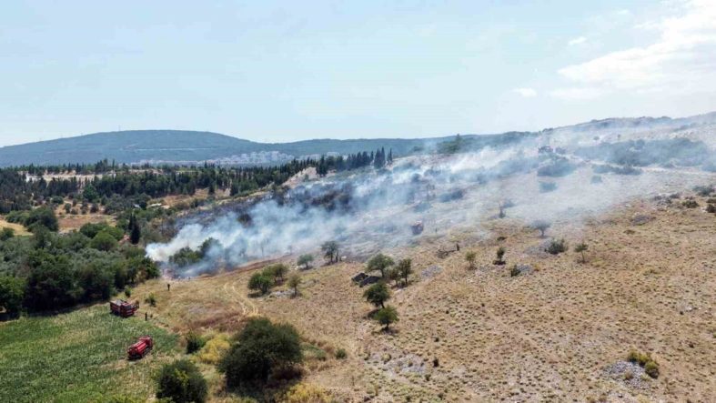Menteşe’deki makilik yangını kontrol altına alındı