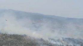 Altıeylül ve Sındırgı'da orman yangını başladı