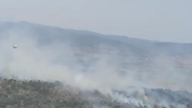 Altıeylül ve Sındırgı'da orman yangını başladı