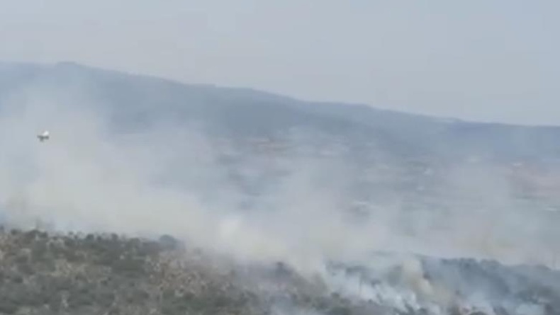 Altıeylül ve Sındırgı’da orman yangını başladı