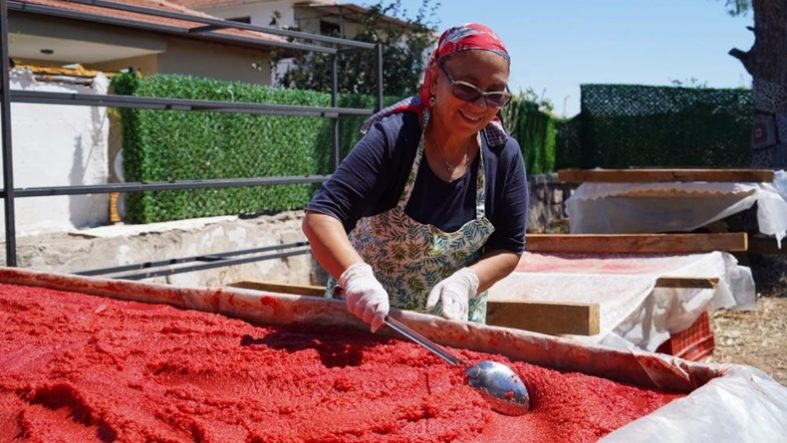 - Ayvalık'ta kadınların emekleri salçaya dönüşüyor