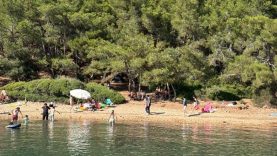 Ayvalık’ta ormanlara giriş yasak ama denetim yetersiz