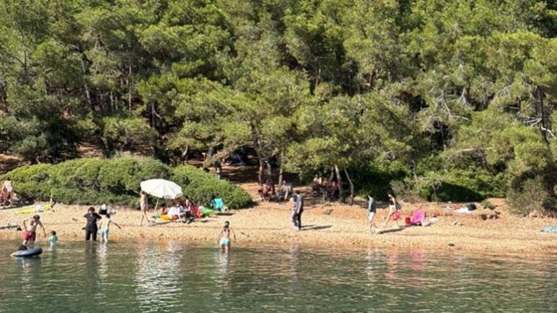 Ayvalık’ta ormanlara giriş yasak ama denetim yetersiz