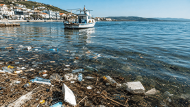 Balıkesir'de Deniz Kirliliğinin Faturası Kime Çıkıyor