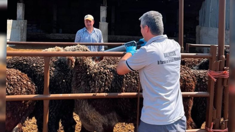 Balıkesir’de Hayvan Sağlığı İçin Denetimler Sürüyor
