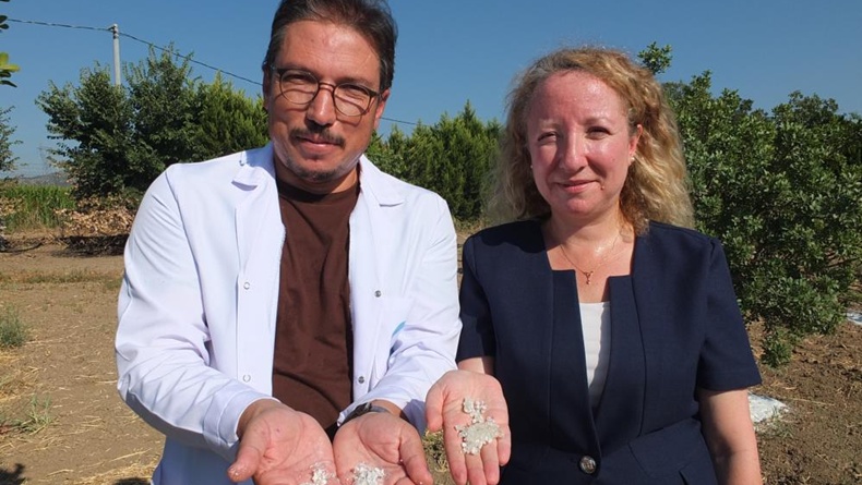 Balıkesir’de sakız hasadına başlandı