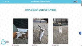 Binlerce can dost yuvalarına kavuştu