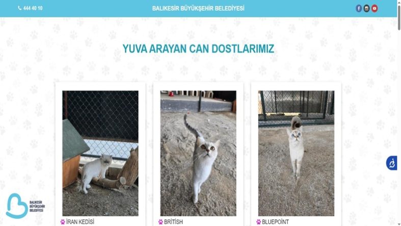 Binlerce can dost yuvalarına kavuştu