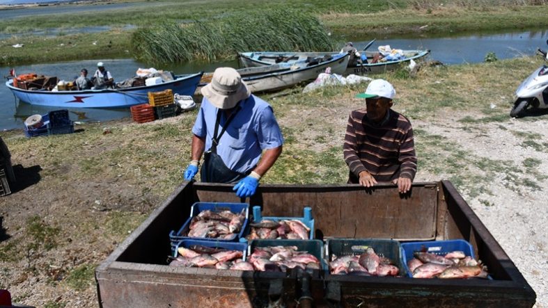 Büyükşehir’den Balıkçılara Soğuk Hava Deposu Desteği