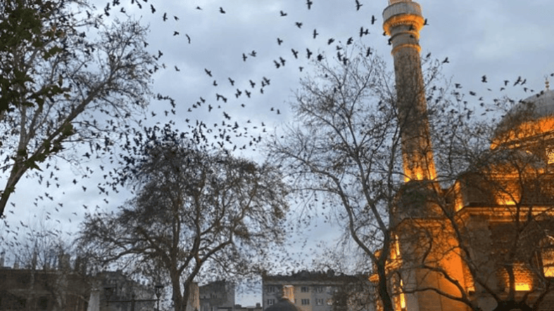 Karesi ve Altıeylül Gerçekten Merkez mi