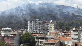 Kazdağları eteklerindeki yangın Zeytinli Mahallesine doğru ilerliyor
