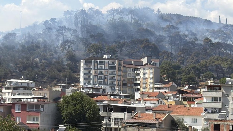 Kazdağları eteklerindeki yangın Zeytinli Mahallesine doğru ilerliyor