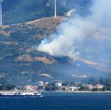 Marmara Adası'nda orman yangını başladı