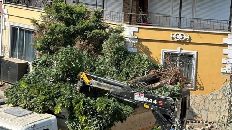 Sındırgı'da yol yapım çalışmaları sırasında ağaçlar söküldü
