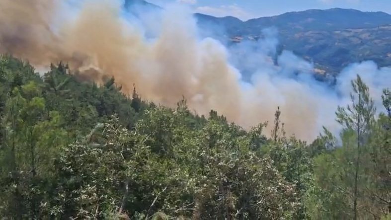 SINDIRGI'DAKİ YANGIN KÜTAHYA'YA DOĞRU İLERLİYOR...HUMMALI MÜDAHALE SÜRÜYOR SÜT KAMYONUNDAKİ YANGIN ORMANA SIÇRADI, 3 KÖYÜN ORTAK NOKTASINDAKİ ORMANLIK ALANDA YANGIN DEVAM EDİYOR 6 UÇAK 6 HELİKOPTER, 60'DAN FAZLA ARAZÖZ VE 300'E YAKIN PERSONEL YANGINA MÜDAHALE EDİYOR