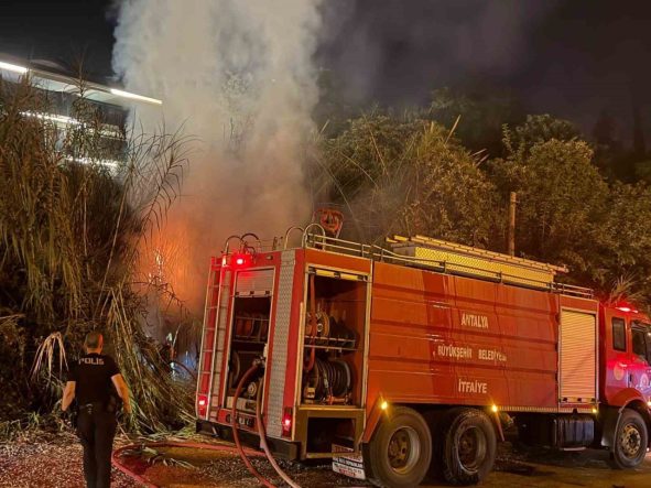 Alanya’da sazlık alanda yangın