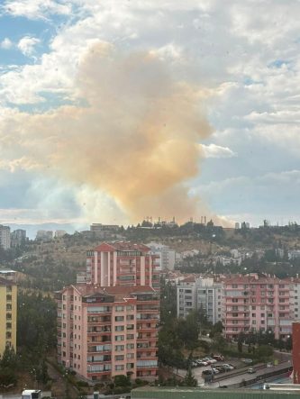 Ankara’da otluk alanda yangın çıktı